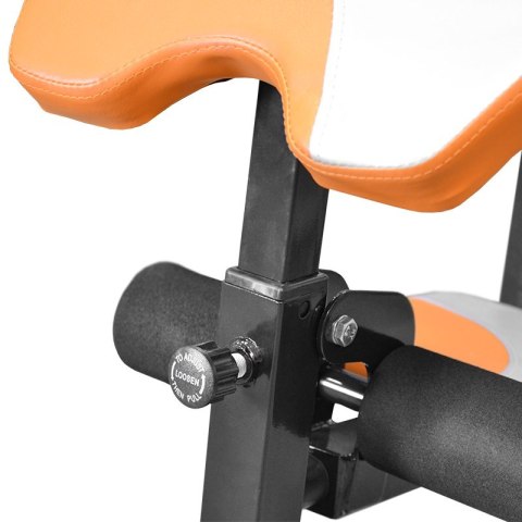 Atlas Multi Gym Posejdon MASTER MASTER SPORT s.r.o. Atlas Multi Gym Posejdon MASTER MASTER SPORT s.r.o.