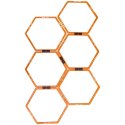 Drabinka Treningowa do Ćwiczeń MASTER Hexa MASTER SPORT s.r.o.