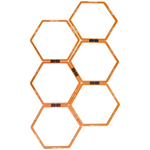 Drabinka Treningowa do Ćwiczeń MASTER Hexa MASTER SPORT s.r.o. Drabinka Treningowa do Ćwiczeń MASTER Hexa MASTER SPORT s.r.o.
