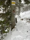 Kije Trekkingowe Regulowane 5 - częściowe ACRA Korkowa Rączka 115 - 135 cm Acra