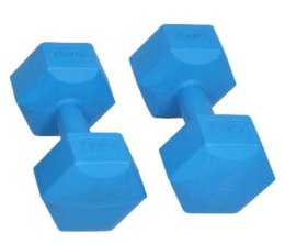 Zestaw Hantli Ciężarków Spartan 2 x 1 Kg Spartan Sport
