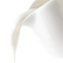 Mlecznik porcelanowy biały MONA 80 ml Grupa Orion Sp. z o.o.