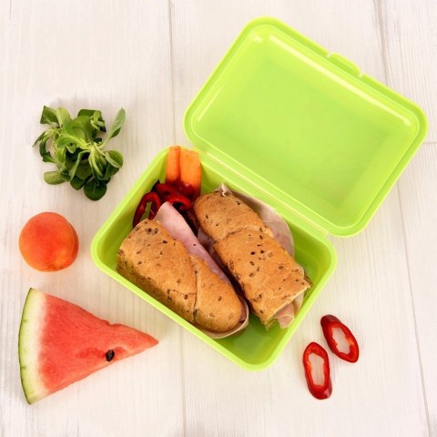 Pojemnik śniadaniowy zielony pies kot 750 ml