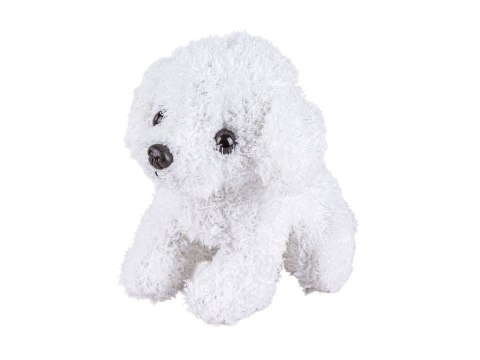 Zestaw Małego Weterynarza Transporter Dla Psa + Akcesoria Klatka Dla Zwierząt Weterynarz Doktor Pies Pluszak