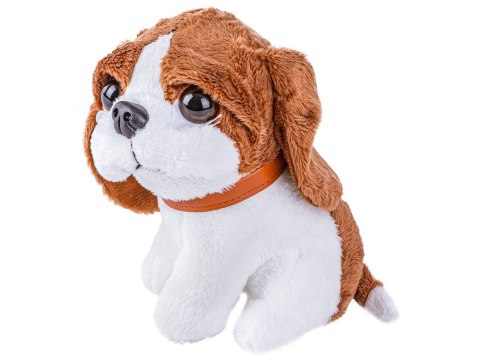 Zestaw Małego Weterynarza Transporter Dla Psa + Akcesoria Klatka Dla Zwierząt Weterynarz Doktor Pies Pluszak